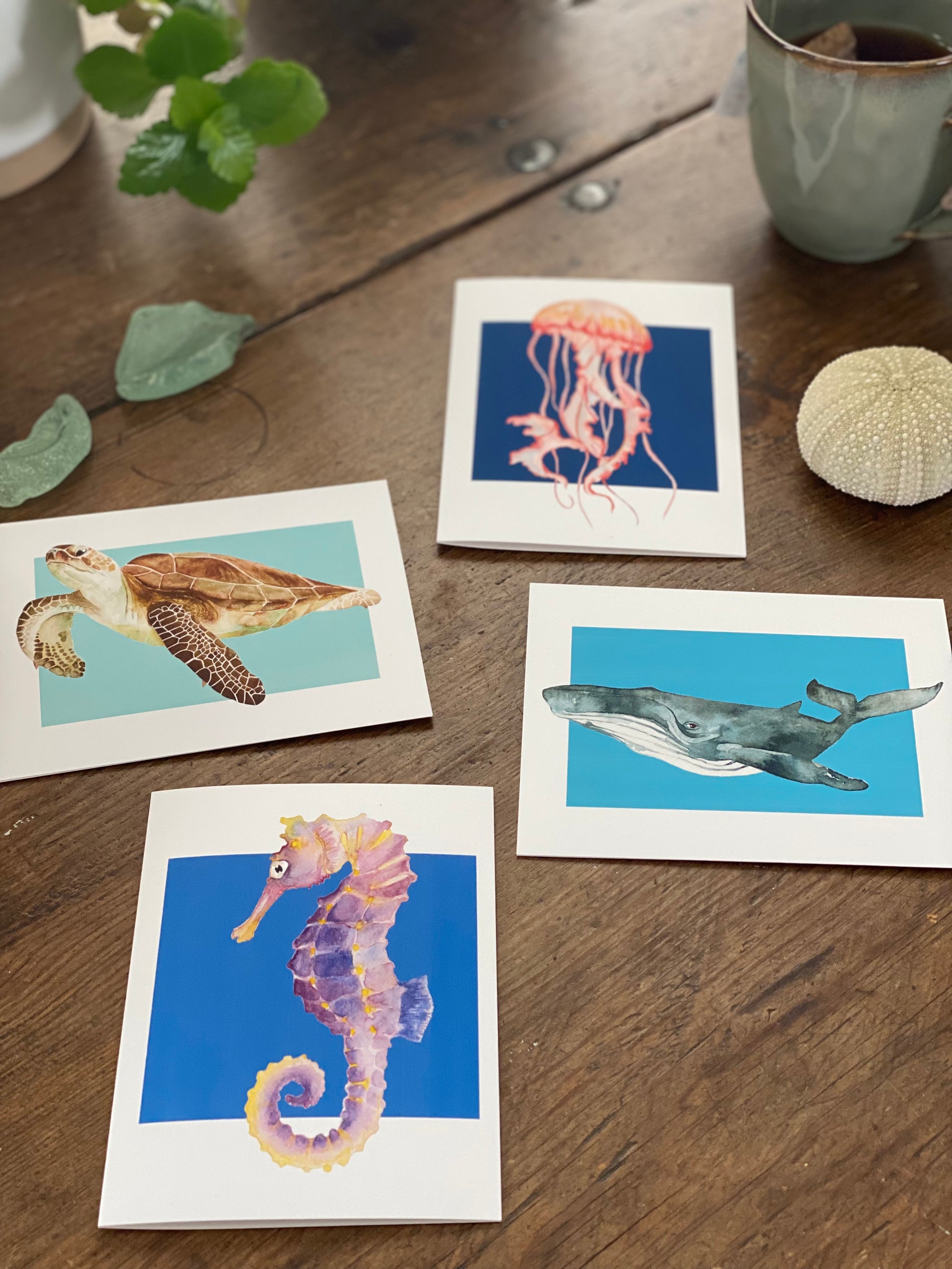 a set of four greeting cards one of each with a watercolor seahorse, sea turtle, jellyfish and whale.