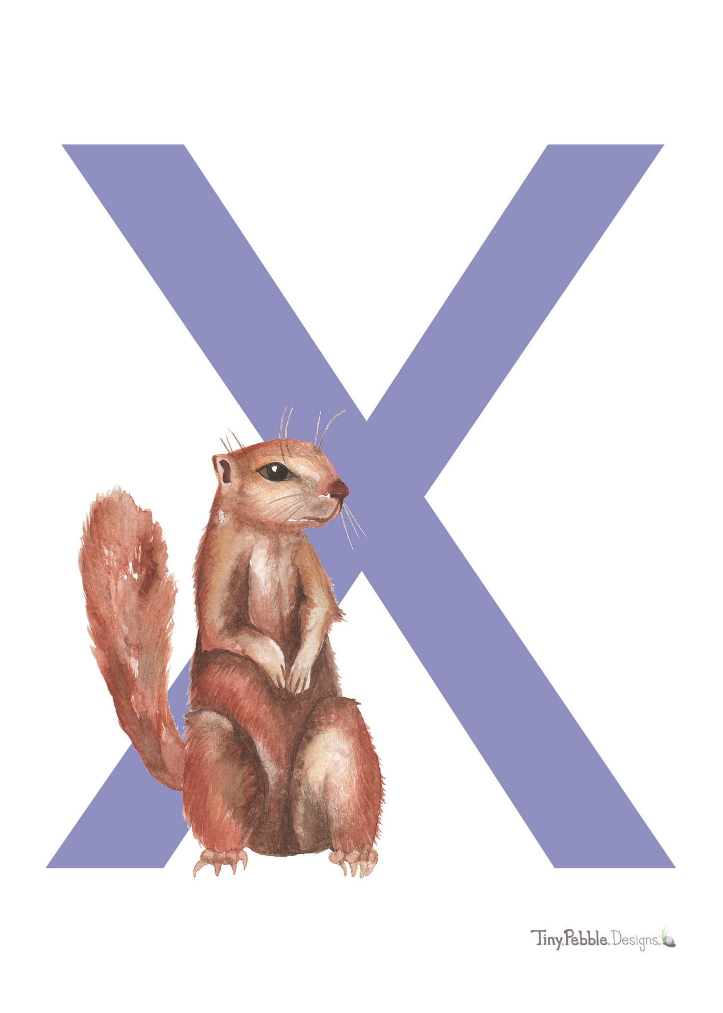 purple printed letter X with a watercolor painting of a xerus or ground squirrel.