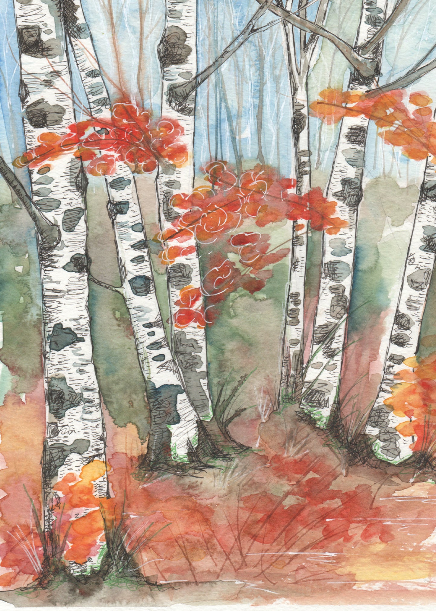 watercolor painting of birch trees and fall foliage.