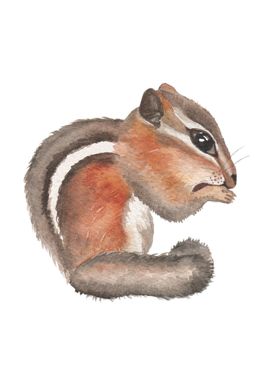 watercolor painting of a chipmunk.