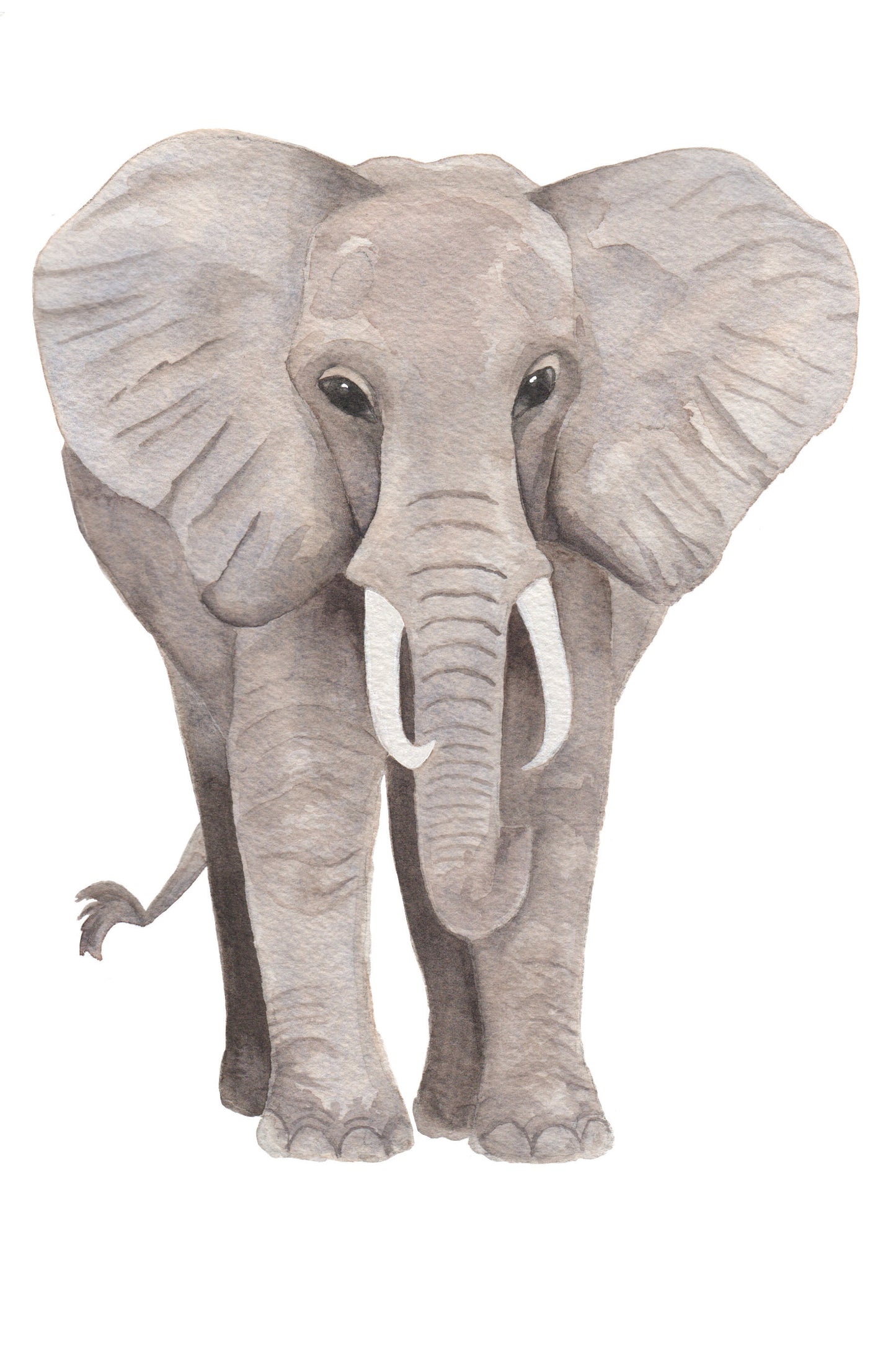 watercolor painting of an elephant.