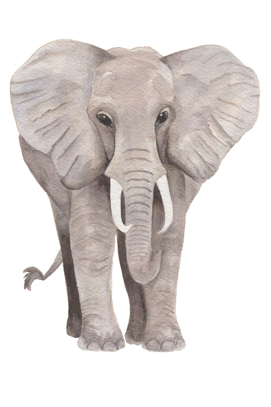 watercolor painting of an elephant.