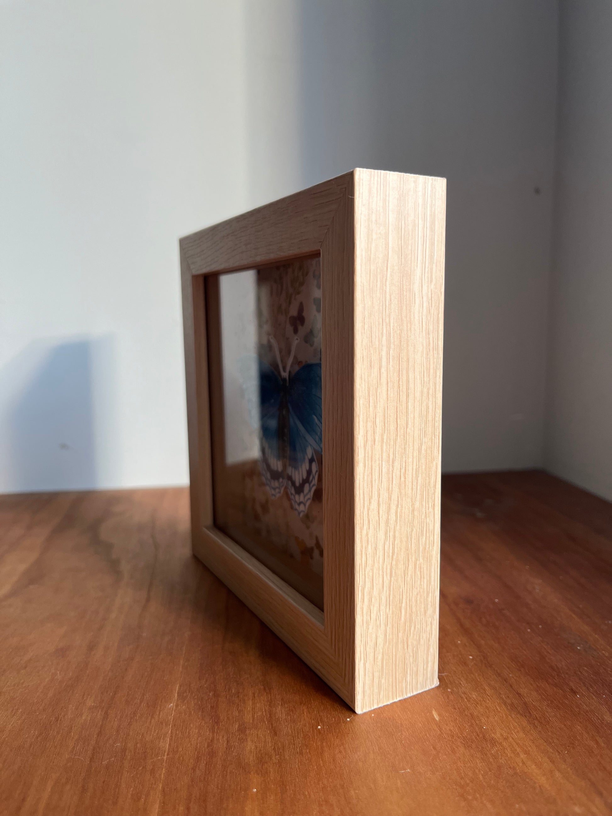 Side view of a shadowbox with a watercolor painted red spotted purple butterfly.