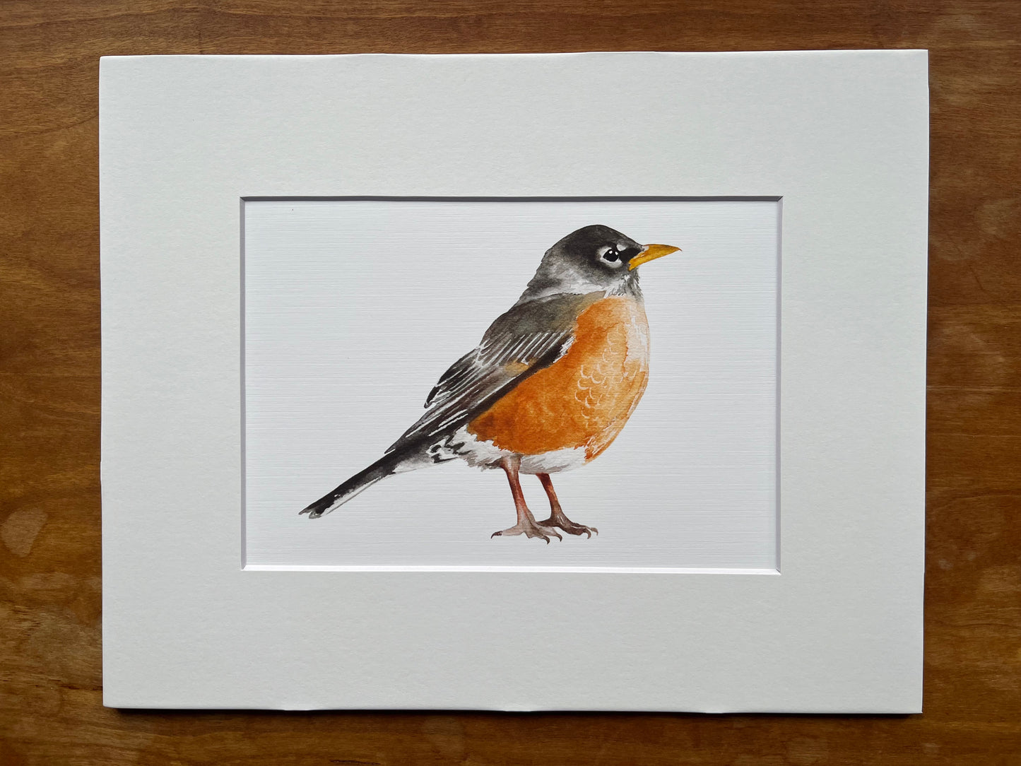 Watercolor painting of an American robin bird in a white matte.