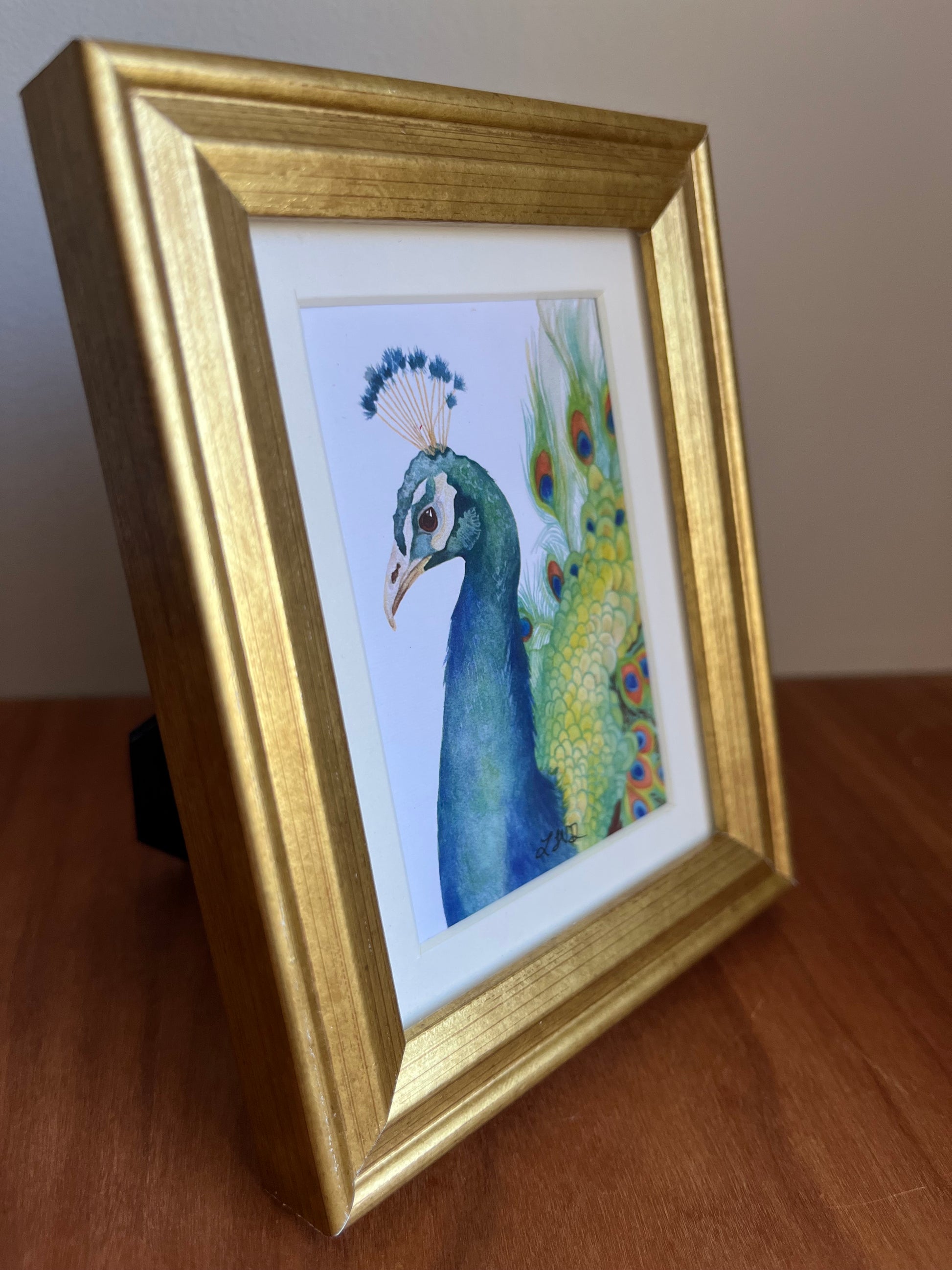 Three quarter view of a watercolor peacock in a gold picture frame.