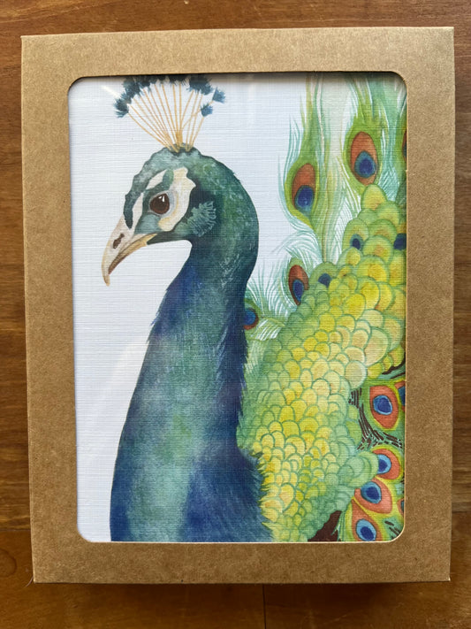 Watercolor peacock greeting cards.