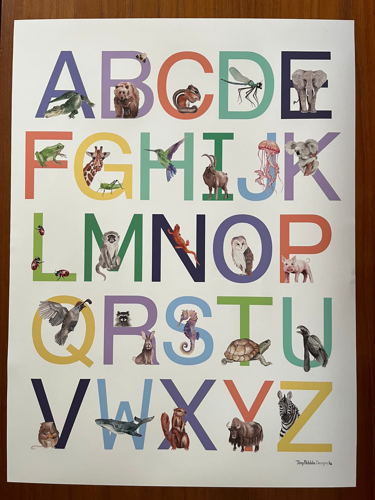Poster of an animal alphabet with watercolor painted animals for each letter.