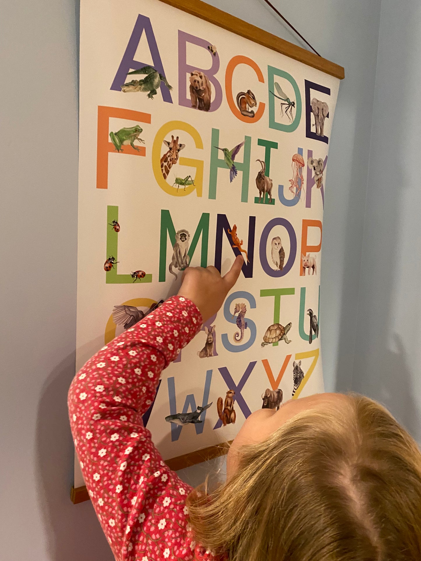 Child interacting with animal alphabet poster with watercolored animals for each letter.