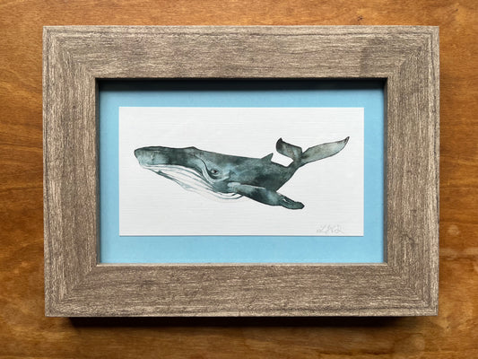Watercolor whale in a grey wood frame with a light blue matte.