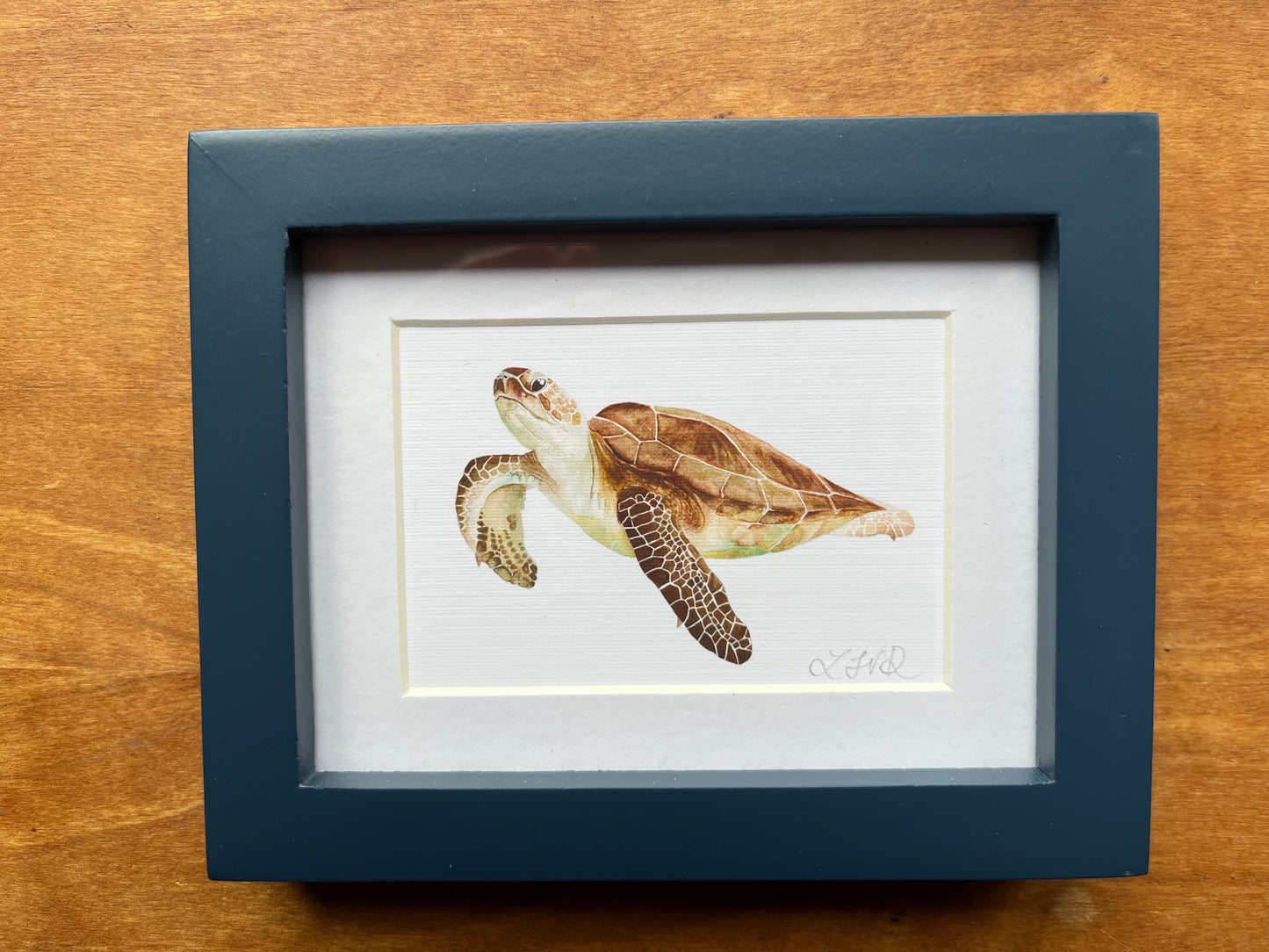 Watercolor sea turtle in a blue picture frame with a white matte.