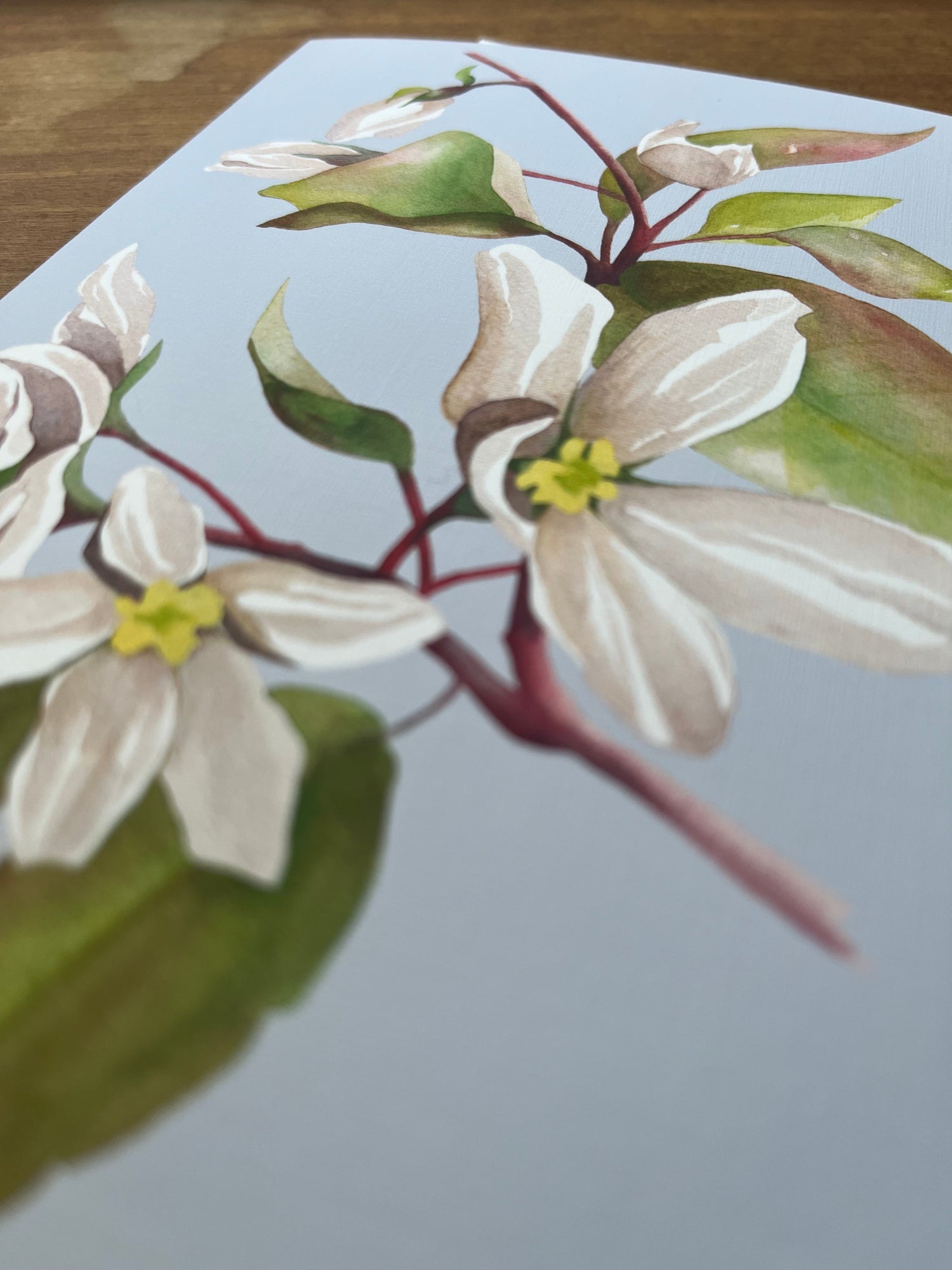 Watercolor Botanicals