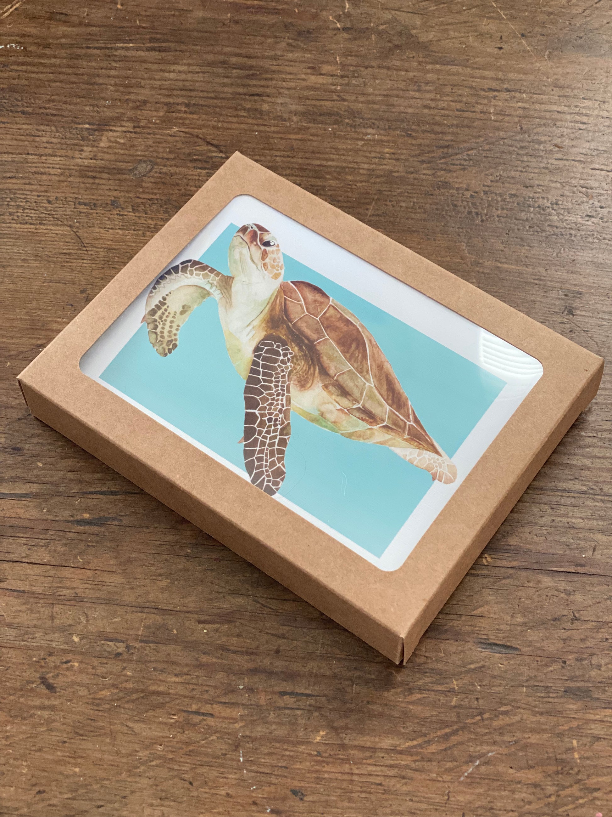 box of greeting cards with a watercolor sea turtle. 