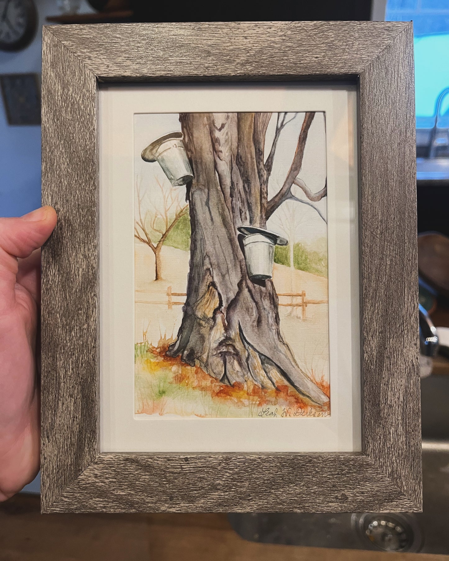 framed watercolor painting of maple tree with two sap buckets.