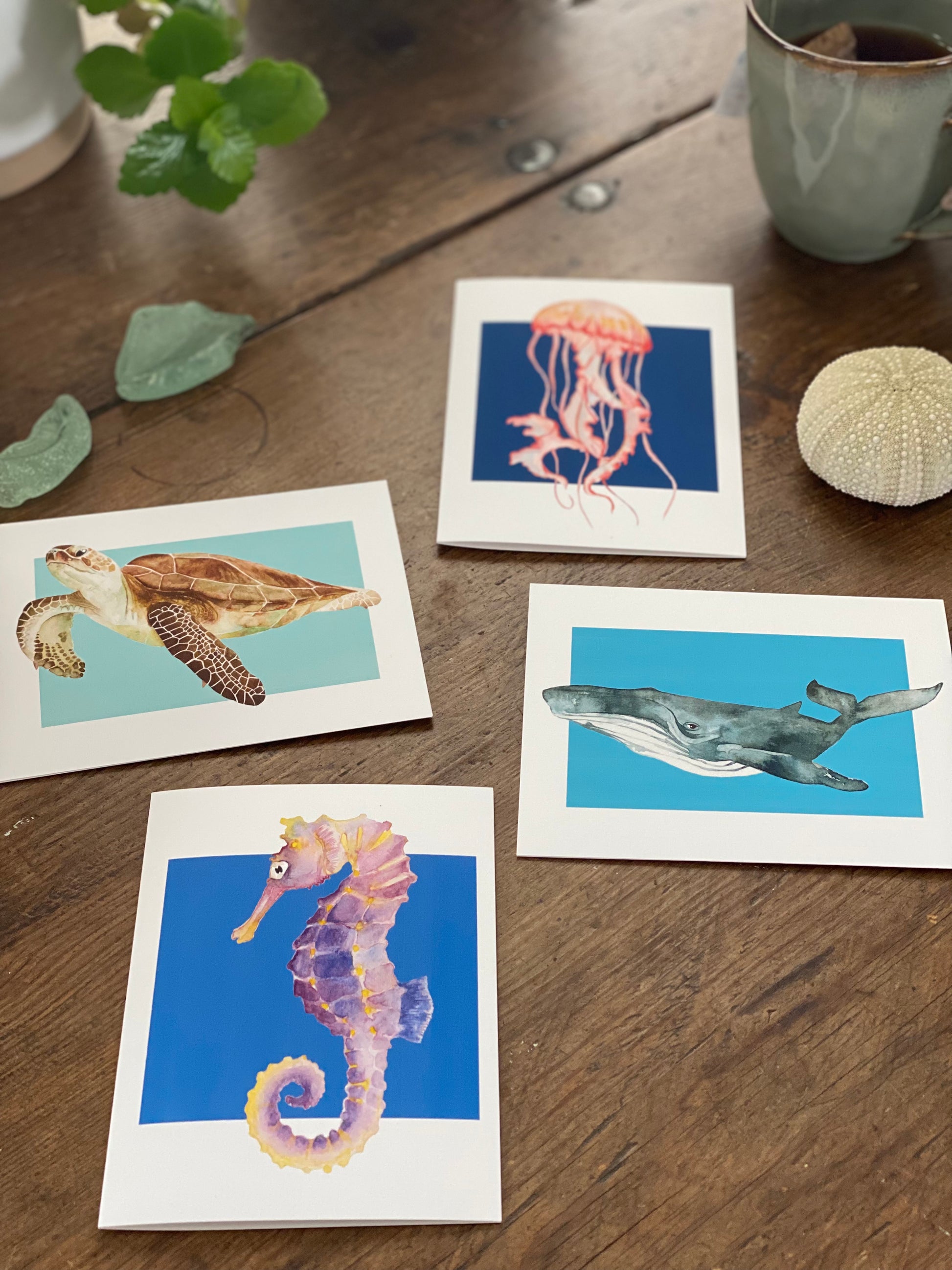 a set of four greeting cards one of each with a watercolor seahorse, sea turtle, jellyfish and whale. 