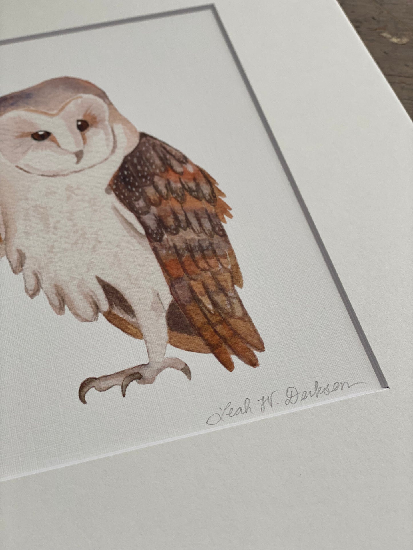 Barn Owl Watercolor