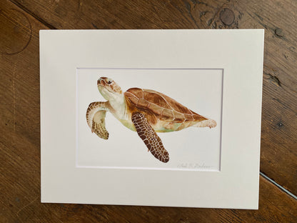 Watercolor print of a sea turtle matted with artist signature.