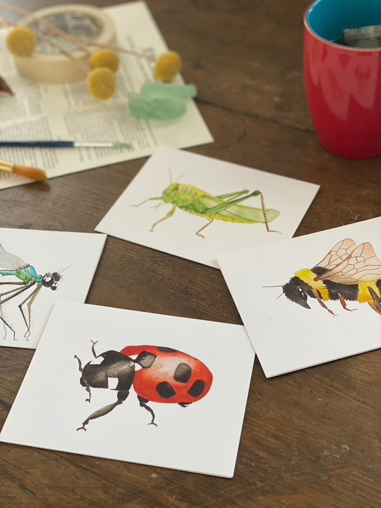 display of 4 greeting cards with watercolor insects, a bee, grasshopper, ladybug, and dragonfly.