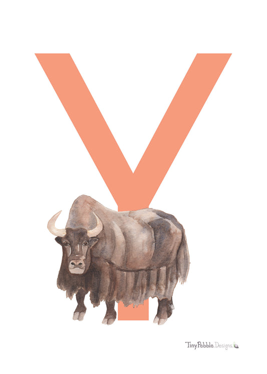 orange printed letter Y with a watercolor painting of a yak. 