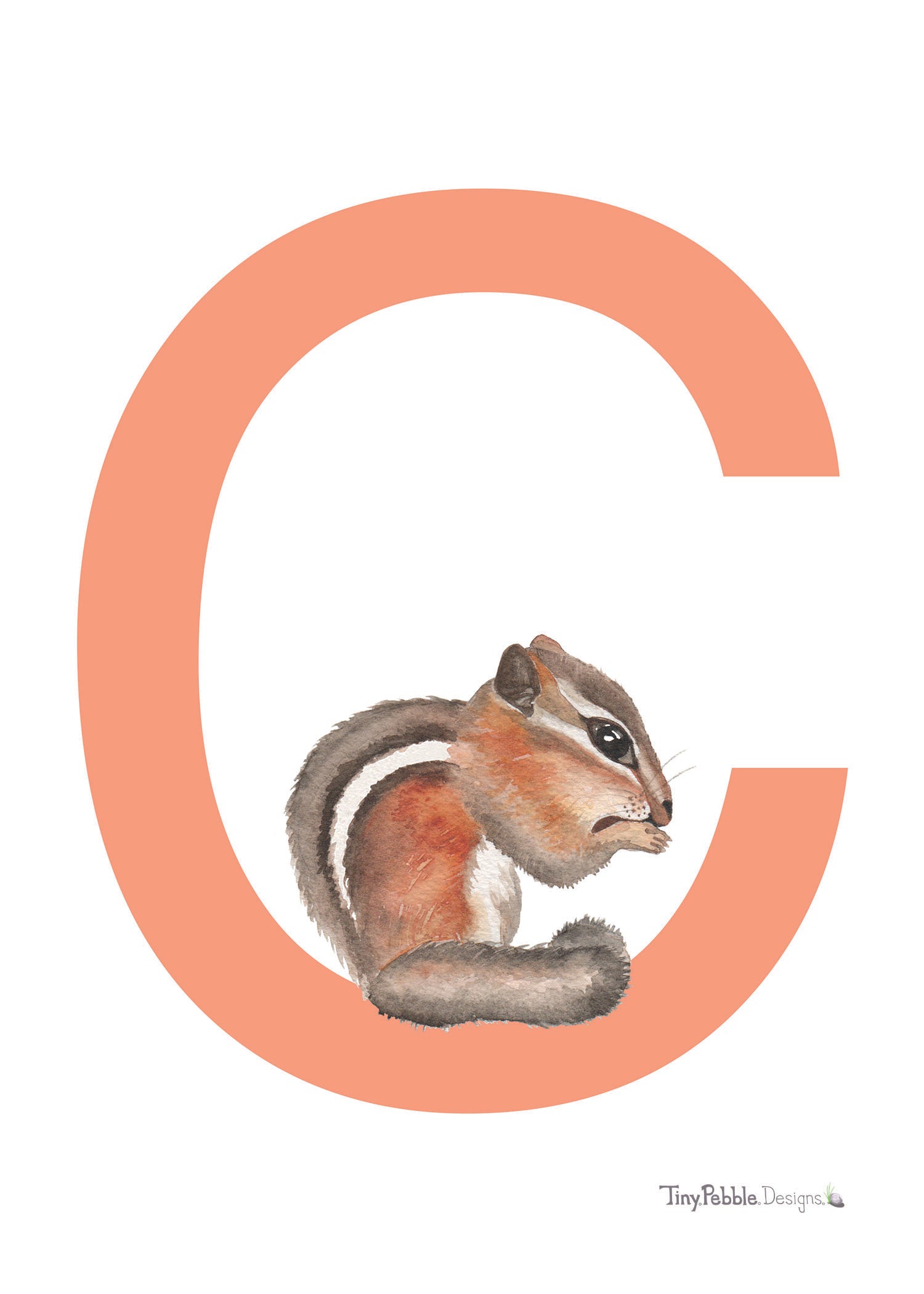 orange printed letter C with watercolor painting of a chipmunk.