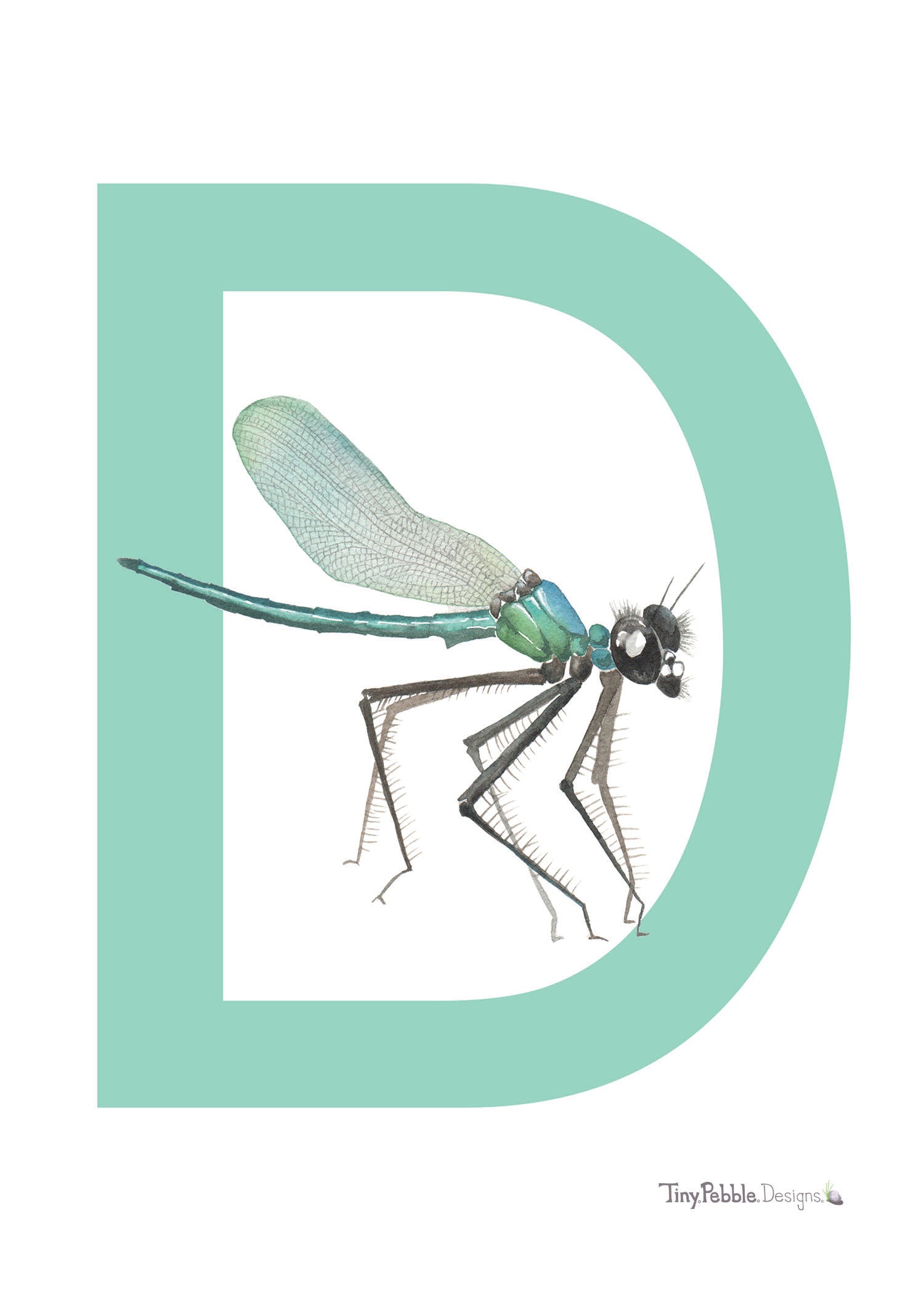 teal printed letter D with watercolor painting of a dragonfly. 