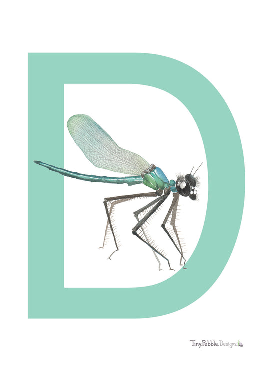 teal printed letter D with watercolor painting of a dragonfly. 