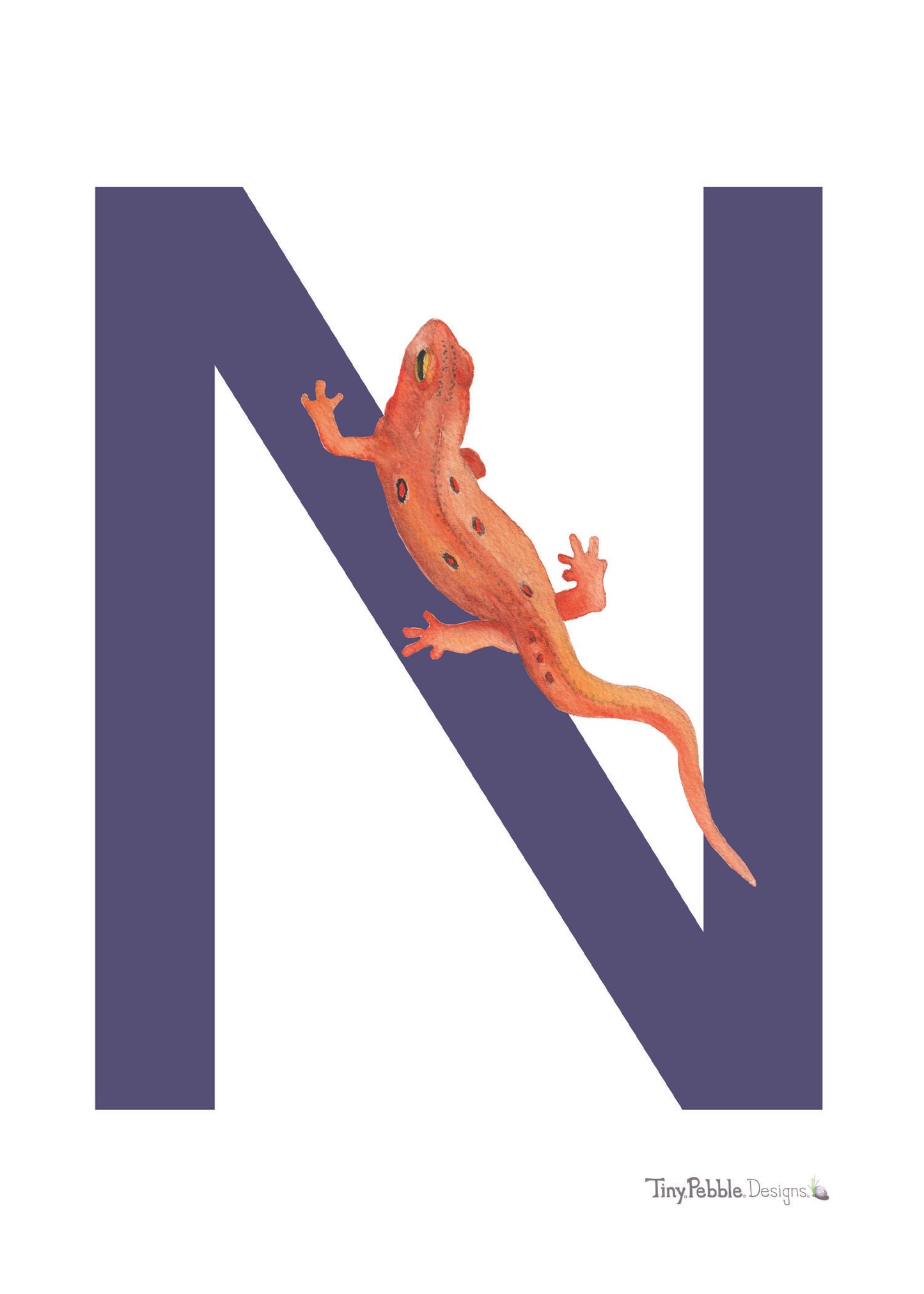 dark purple printed letter N with a watercolor painting of a newt.