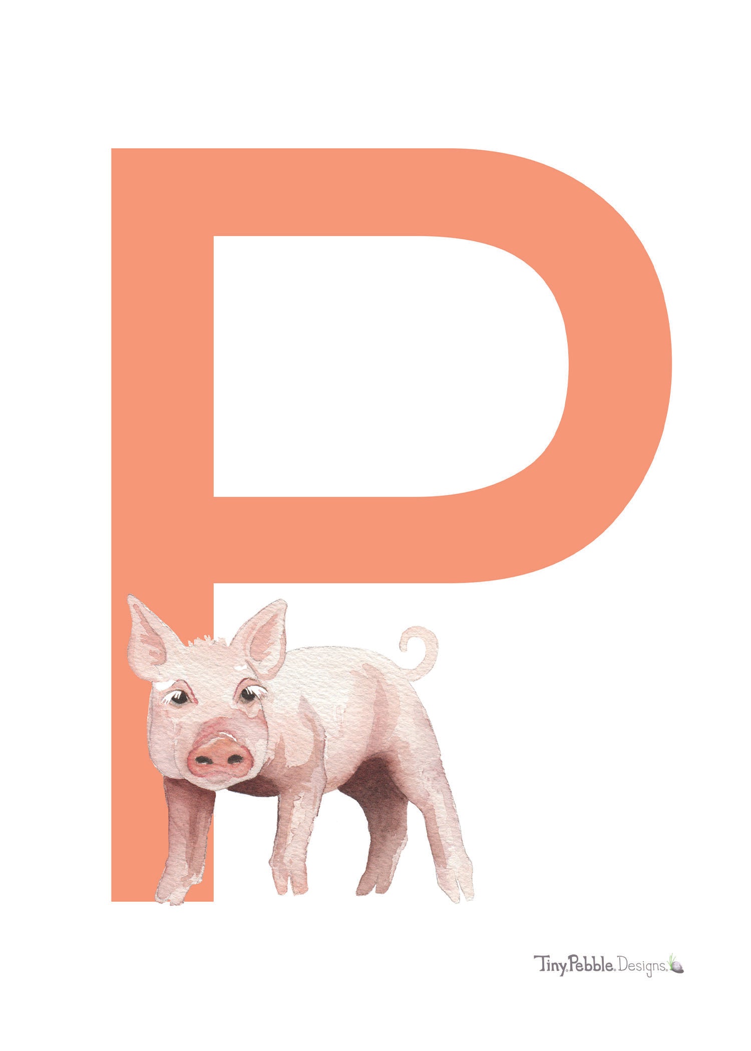 orange printed letter P with a watercolor painting of a pig.