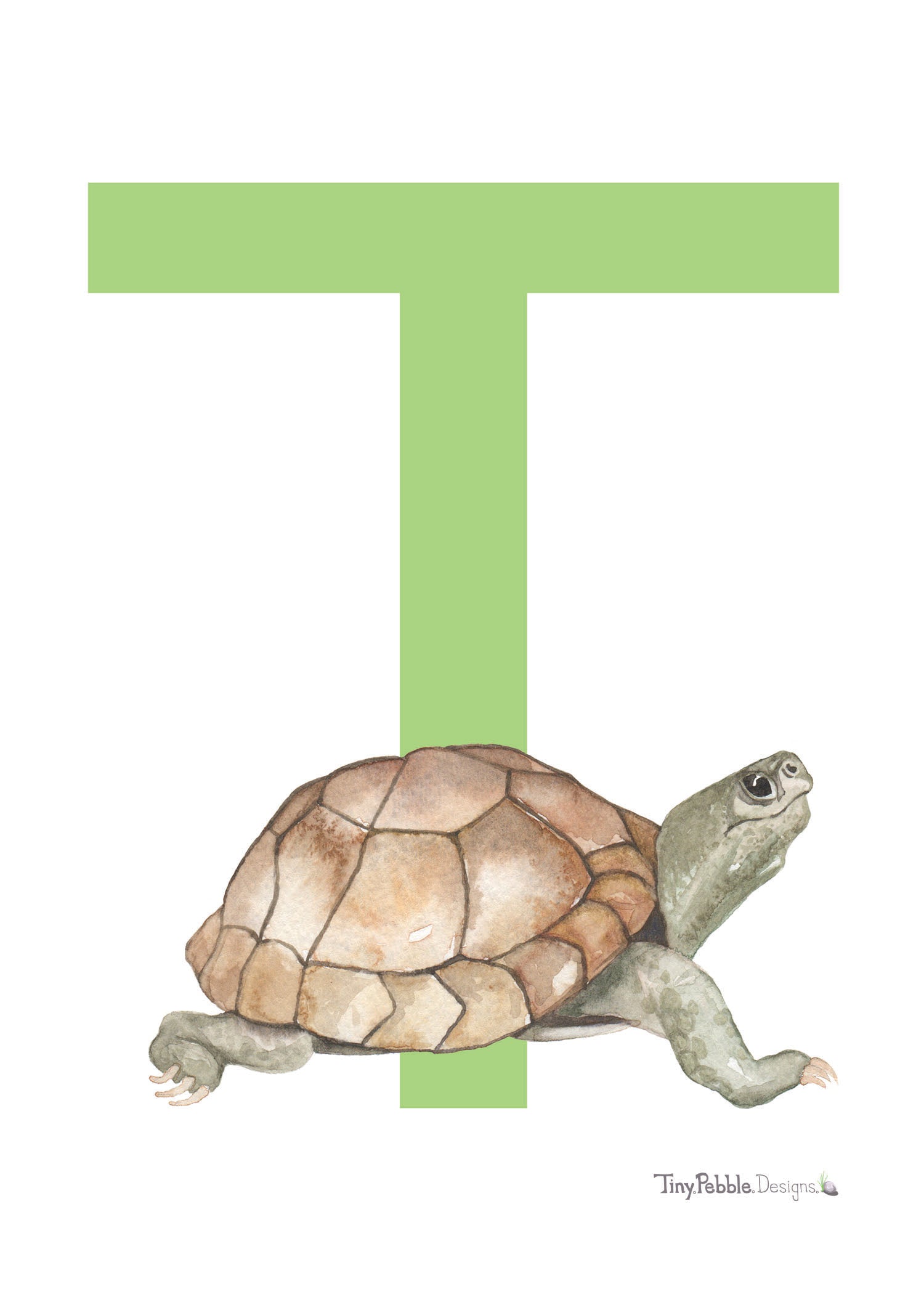 green printed letter T with a watercolor painting of a turtle. 