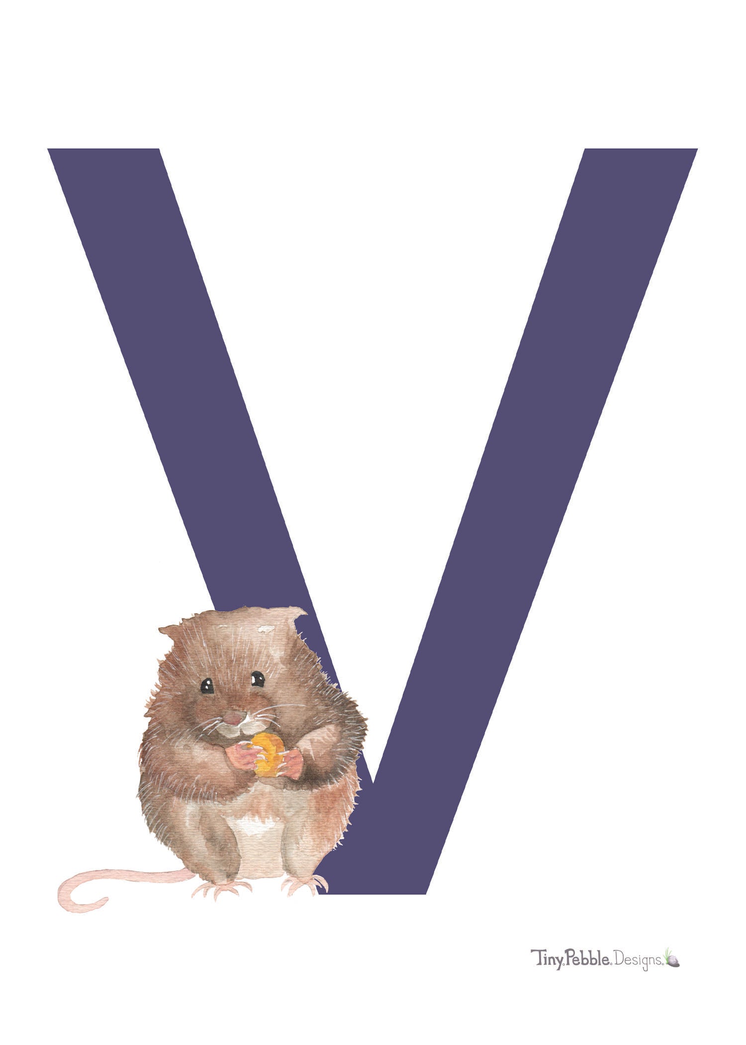 dark purple printed letter V with a watercolor painting of a vole. 