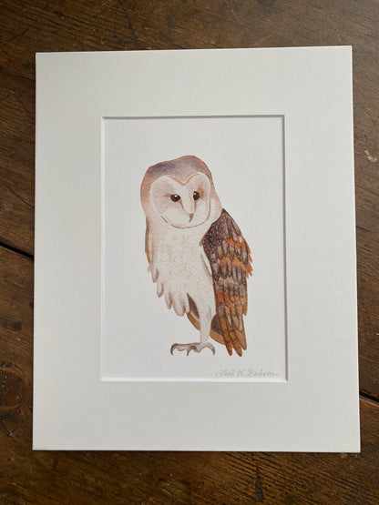 Barn Owl Watercolor