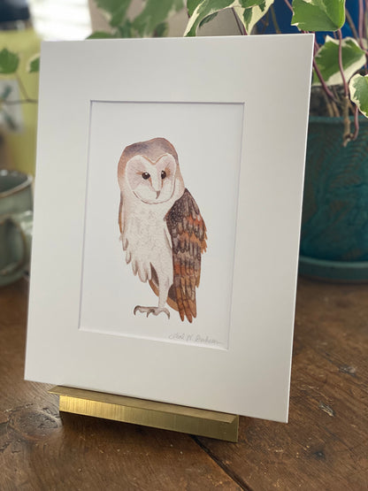 Barn Owl Watercolor