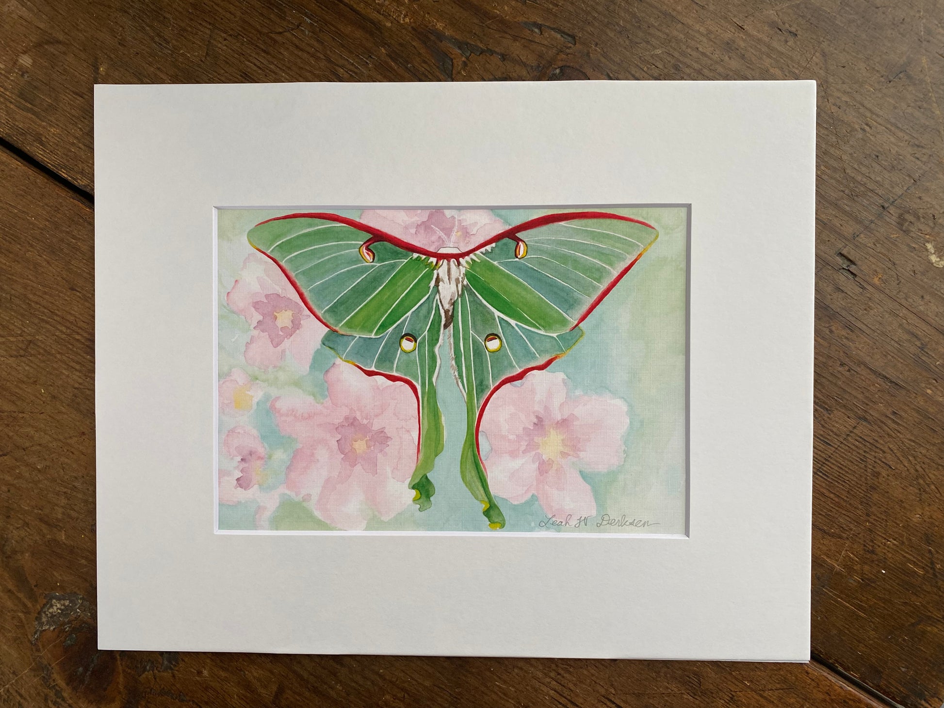 matted 5x7 print of a watercolor luna moth. 