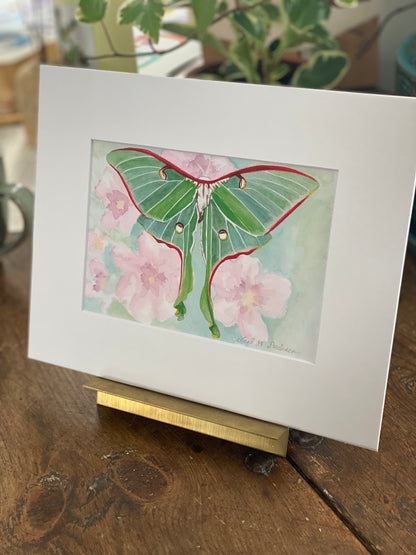 matted 5x7 print of a luna moth seated in a gold picture stand. 