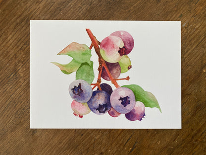 5x7 card with watercolor blueberries.