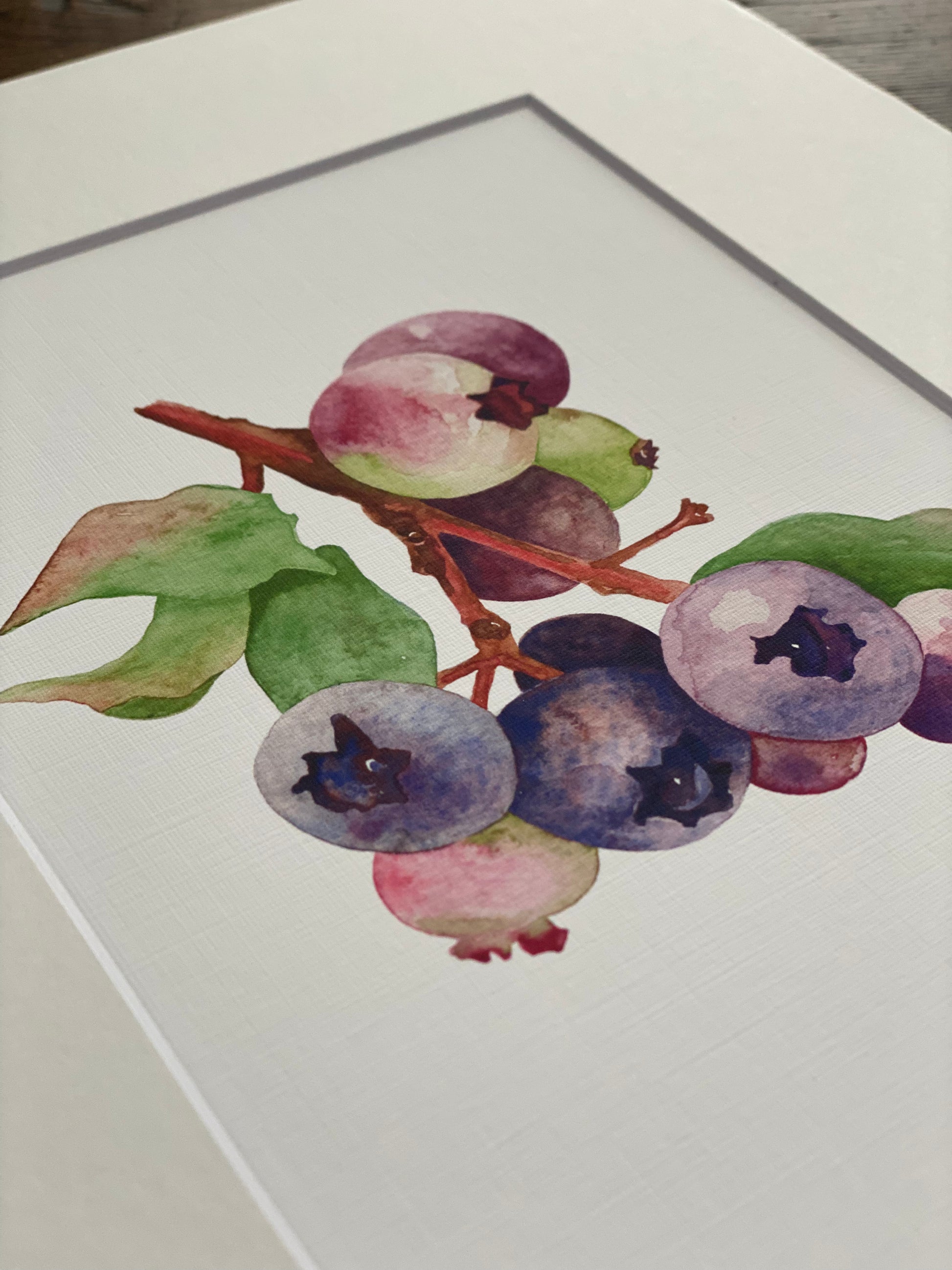 closeup of watercolor blueberries.