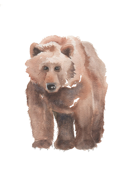 watercolor painting of a brown bear.