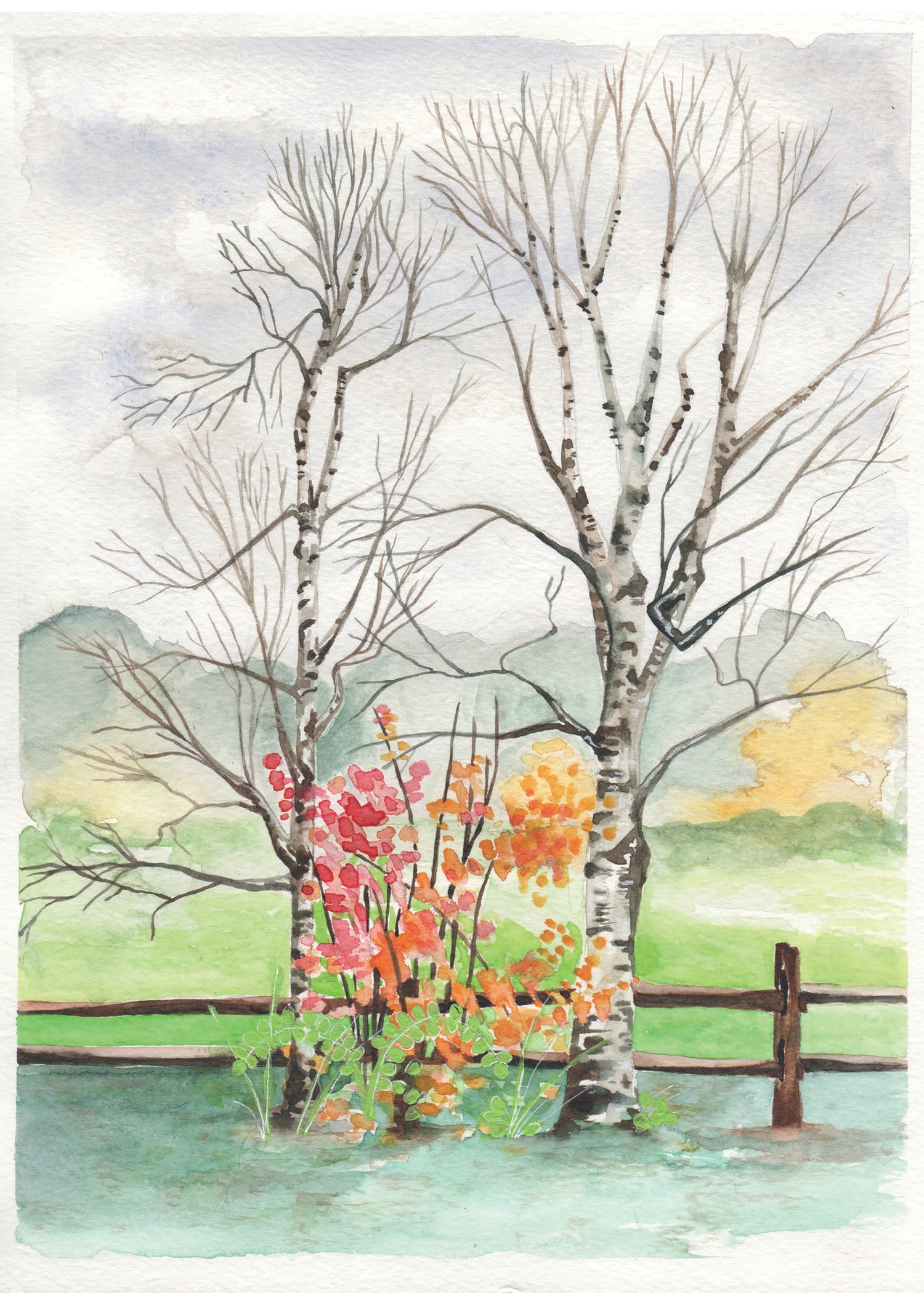 watercolor painting of a November landscape with two birch trees and foliage. 