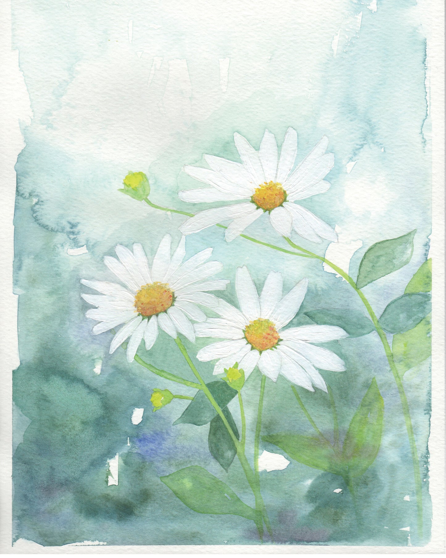 Painting of daisies in bloom.