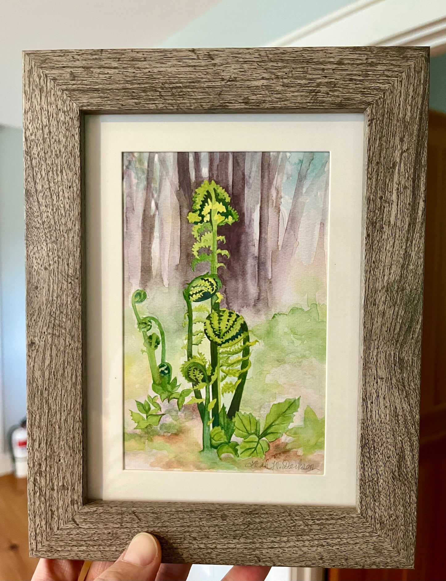 Watercolor painting of fiddlehead ferns with a grey wood frame and white matte. 
