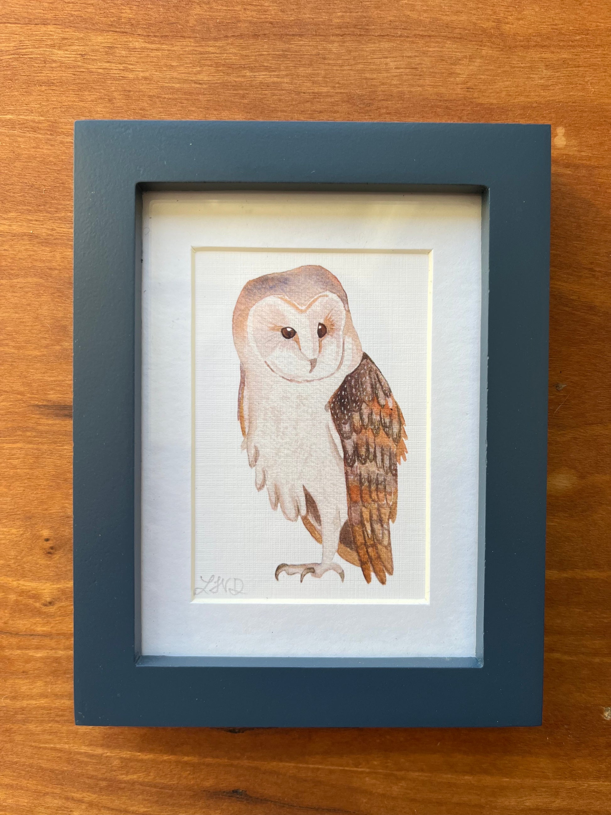 Watercolor painting of a barn owl in a small blue frame. 