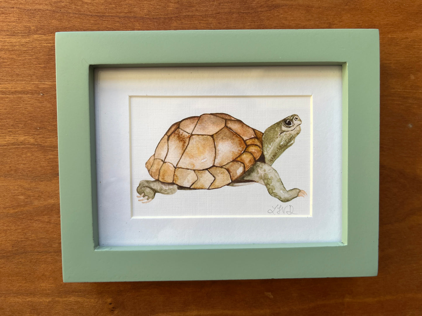 Watercolor turtle in a small green picture frame. 