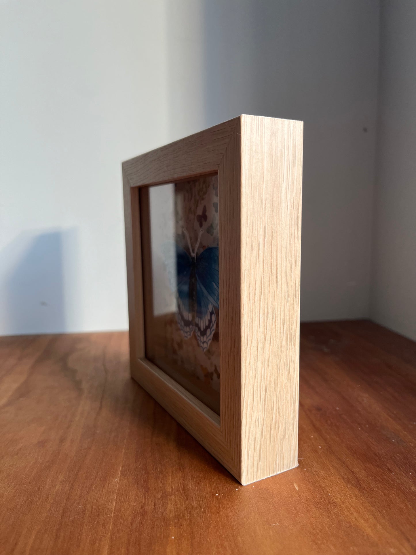 Side view of a shadowbox with a watercolor painted red spotted purple butterfly. 