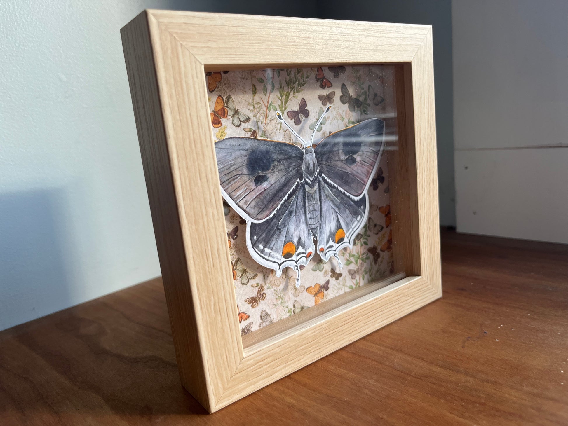 Shadowbox frame with a painting of a grey hairstreak butterfly.