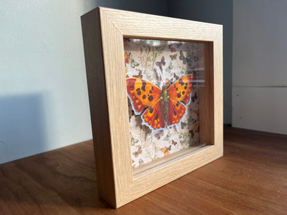 A shadowbox frame with a watercolor painting of an orange question mark butterfly.