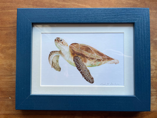 Watercolor painting of a sea turtle in a blue picture frame. 