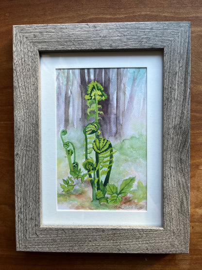 Watercolor painting of fiddlehead ferns in the woods with a grey barn wood frame. 