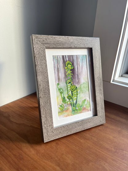 Watercolor painting of fiddlehead ferns in a grey frame sitting on a table top.