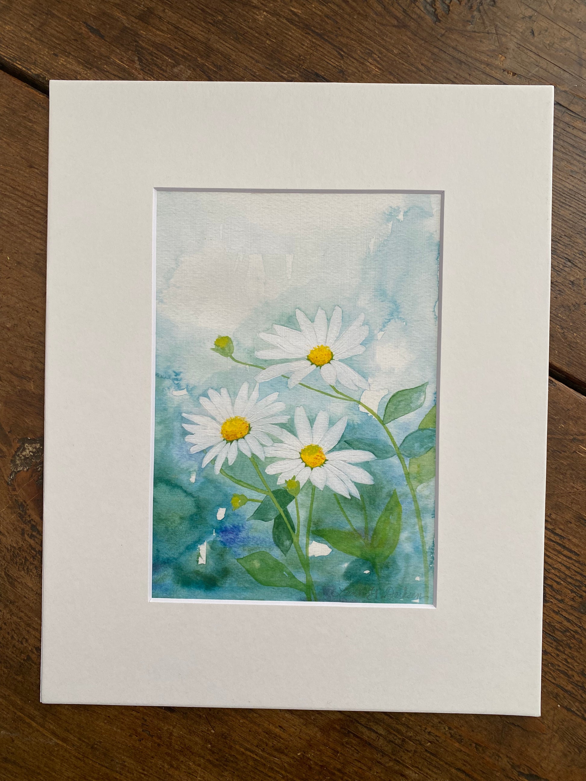 5x7 matted print of daisies in bloom.