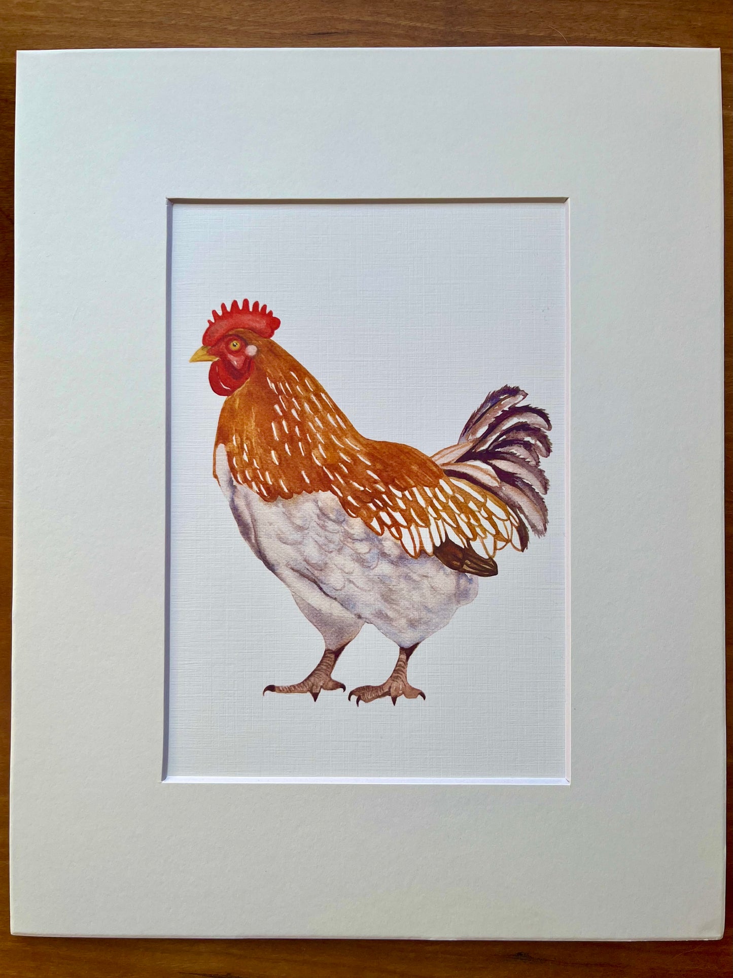 Watercolor painting of a brown and white chicken with a white matte.