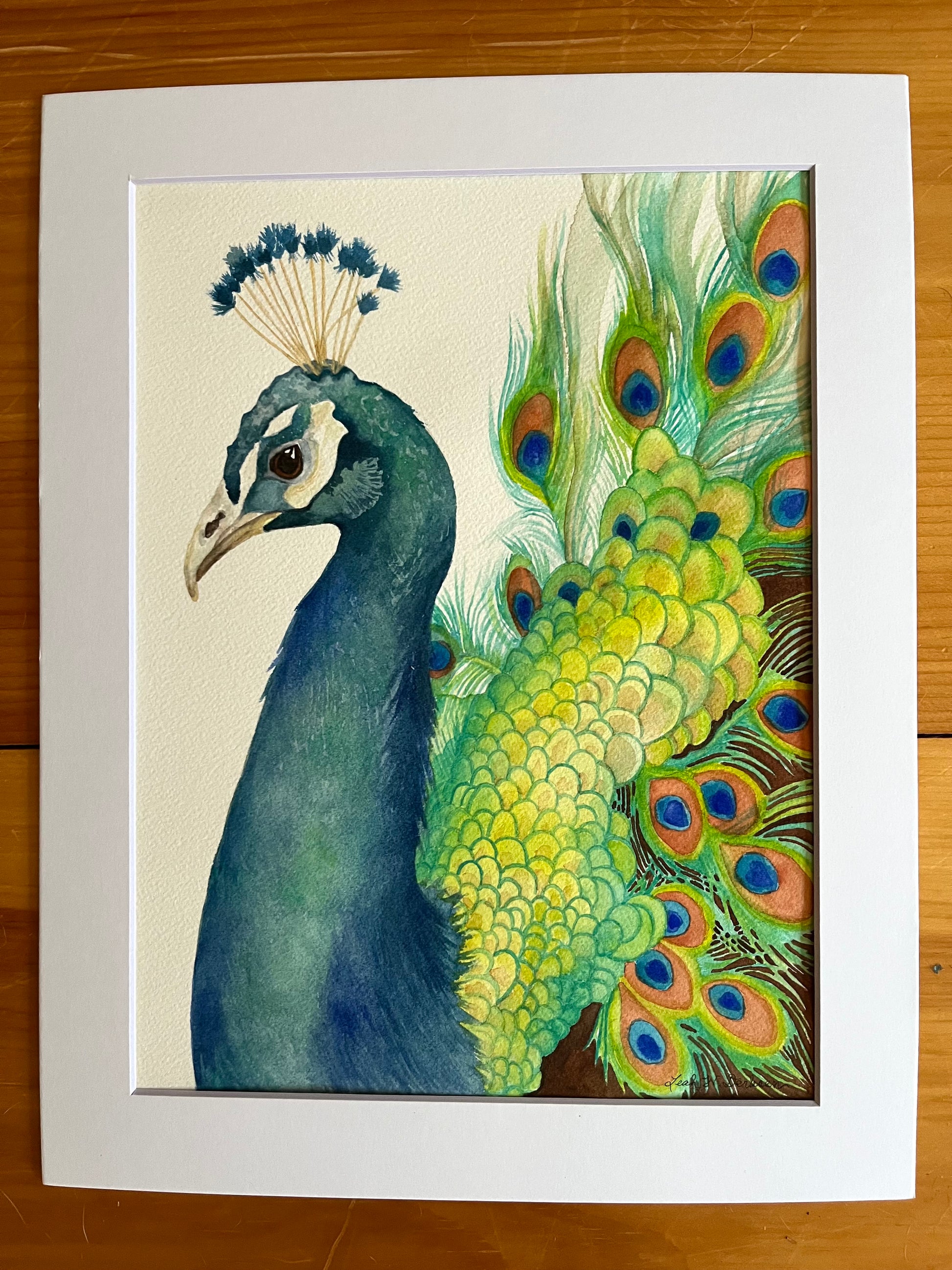 Watercolor painting of a peacock in a white matte.